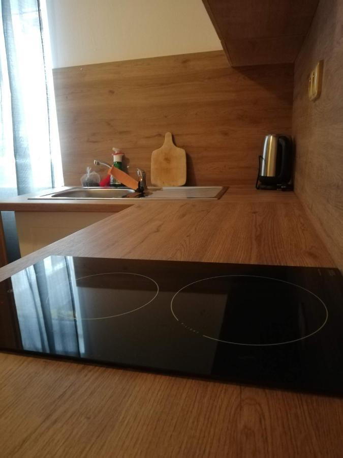 Penzion Pod Svahem Zelezna Ruda Exterior foto